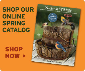 Shop our online spring catalog